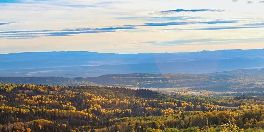 New Mexico Hunting Seasons